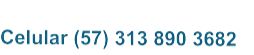 Telefono (571) 432 6390  Celular (57) 313 890 3682